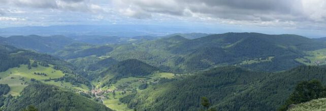 quaeldich ‚Belchen System‘